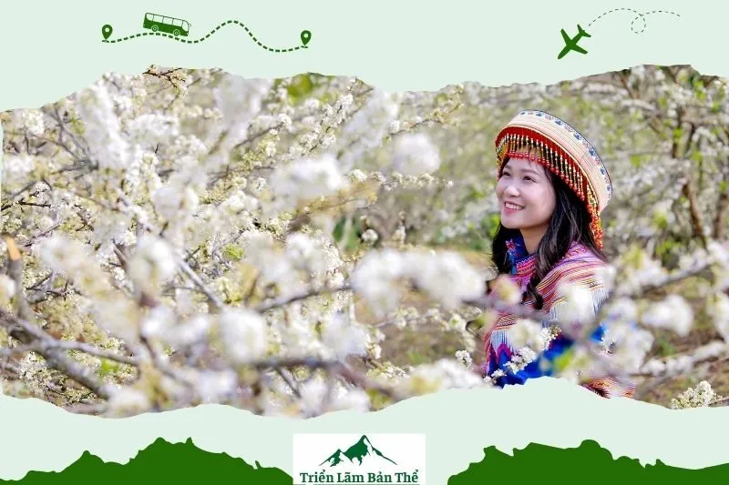 Cảnh Đẹp và Mùa Hoa tại Gia Khâu Lai Châu