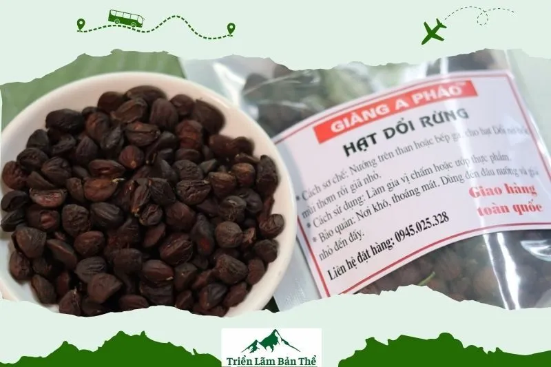 Hạt Dổi Rừng Lai Châu: Một Món Quà Đặc Sản Cho Mọi Người