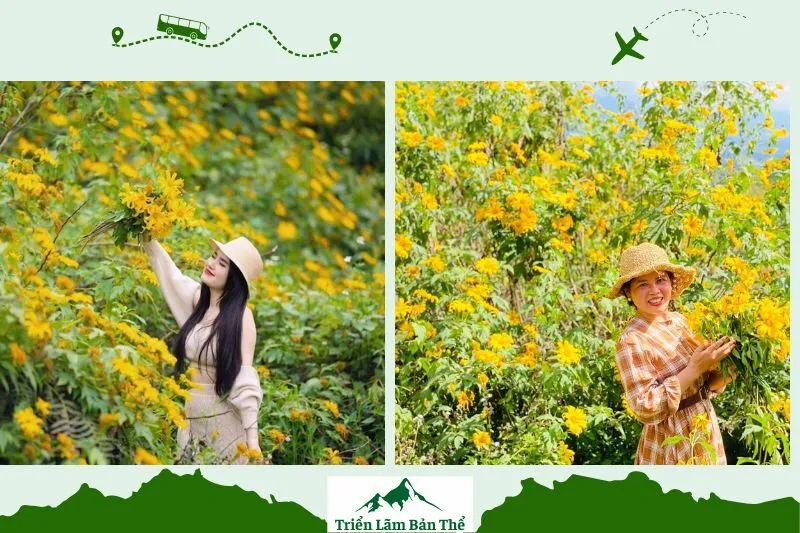 Mùa Hoa Dã Quỳ Lai Châu: Mùa Hoa Đặc Điểm