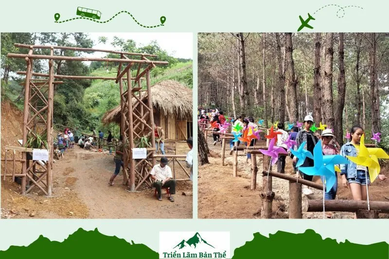 Đồi Thông Tả Lèng Lai Châu – Giới Thiệu Tổng Quan