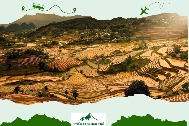 Kinh Nghiệm Tham Quan Đồi Thông Tả Lèng