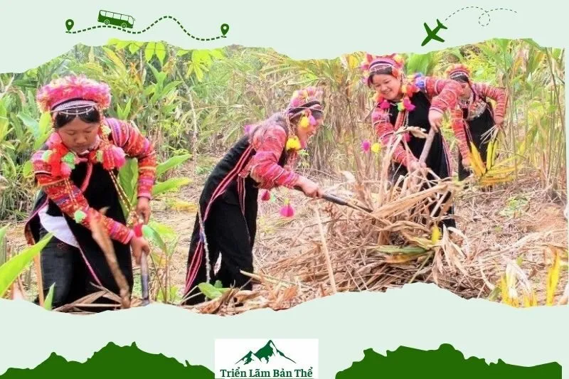 Kinh Tế và Nghề Truyền Thống Của Người La Hủ