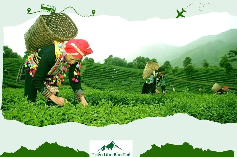 Tài nguyên đất và nông nghiệp tại Hồ Thầu
