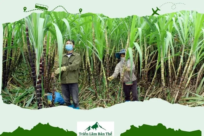 Tài Nguyên Thiên Nhiên Của Xã Bản Giang
