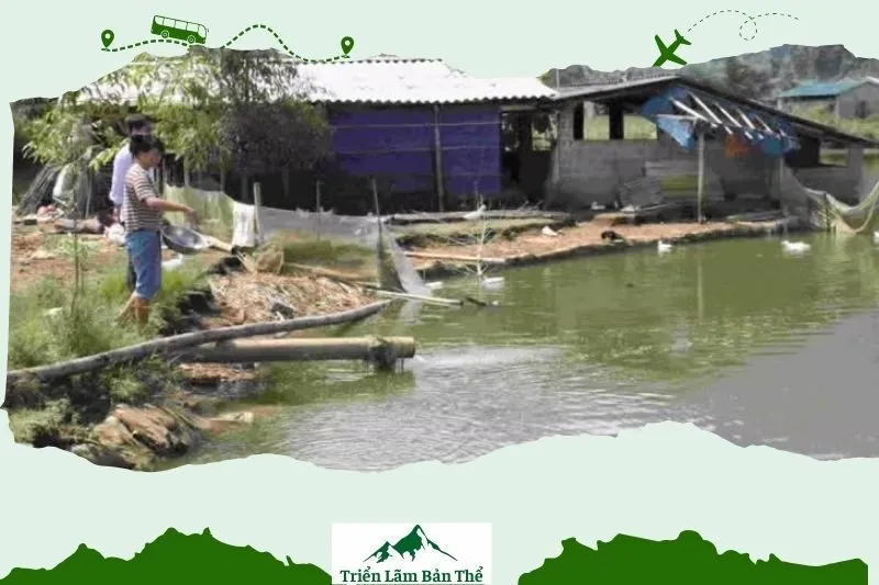 Thách Thức Trong Phát Triển Kinh Tế Xã Bản Giang