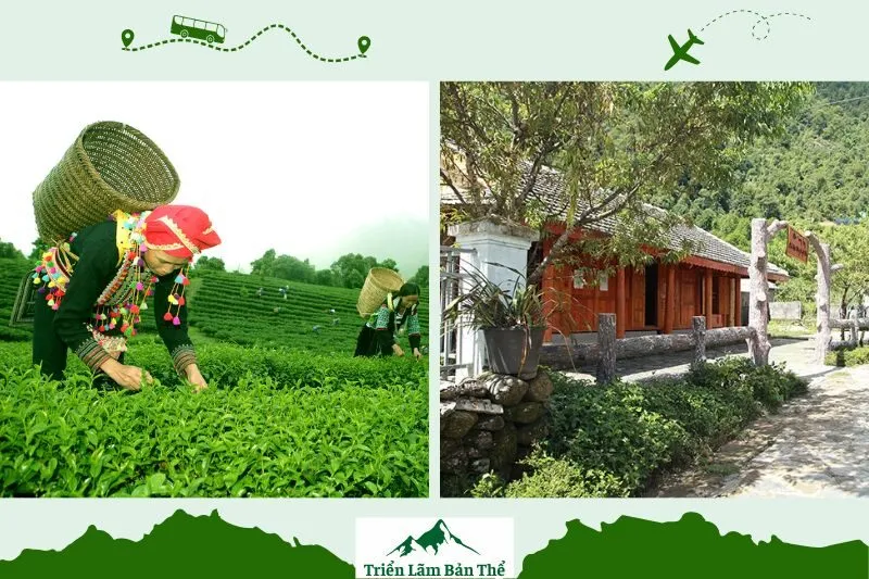 Tổng quan về Xã Hồ Thầu Lai Châu